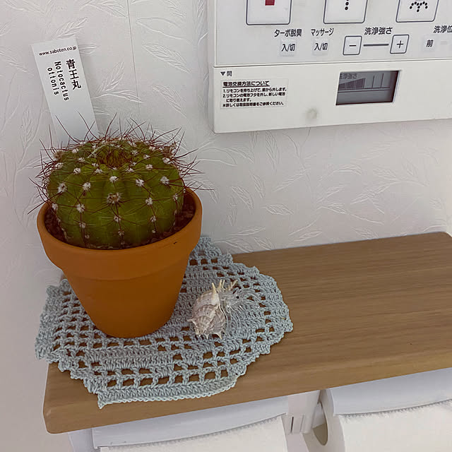 mayuさんの実例写真