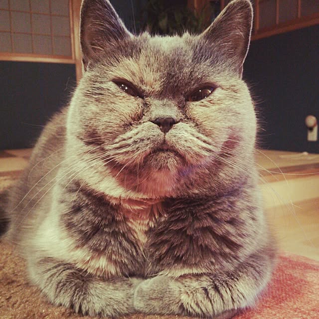 k.namiさんの実例写真