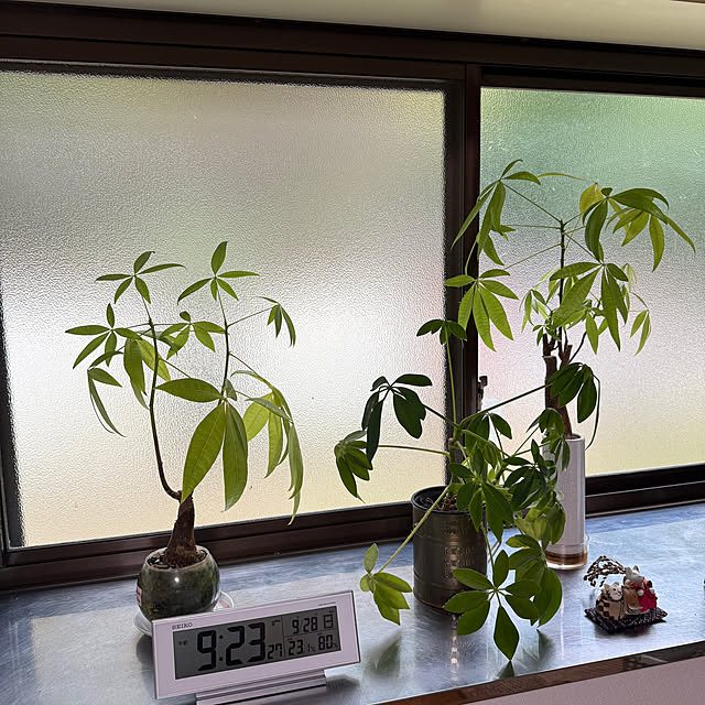 sakakenさんの部屋