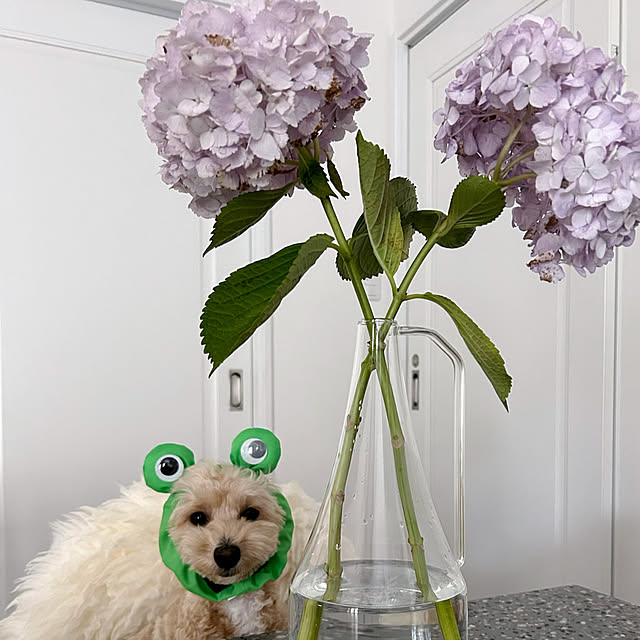 Akubiさんの実例写真