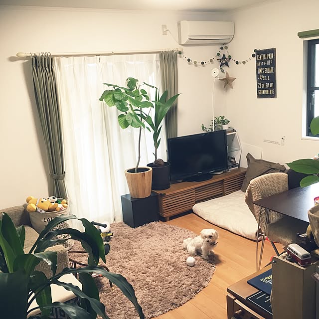tomさんの実例写真