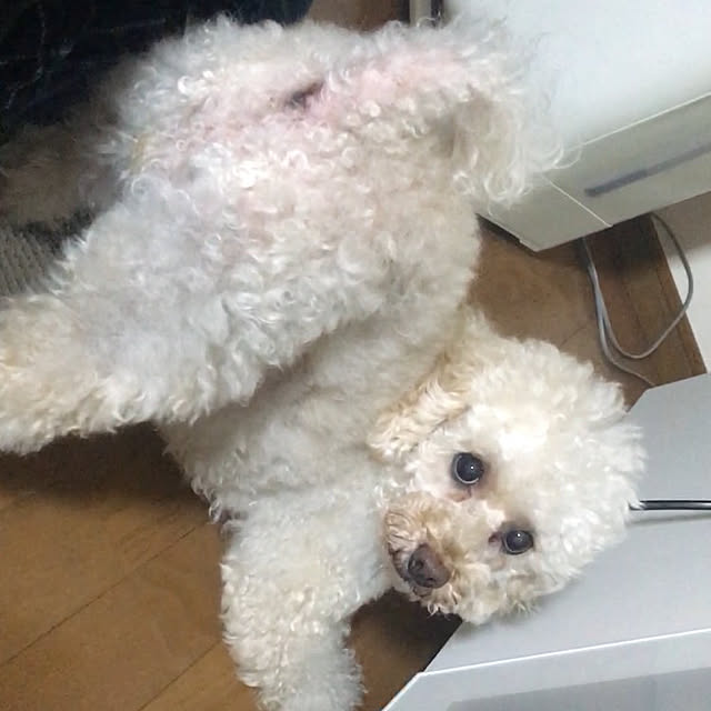 Junran50さんの実例写真