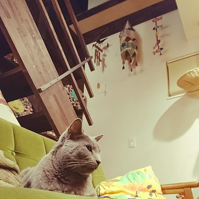 Mitsuruさんの実例写真