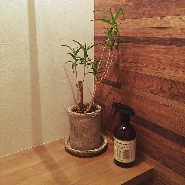 ctscandyさんの実例写真