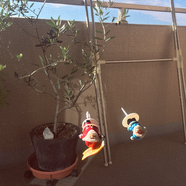 cottoncottonさんの実例写真
