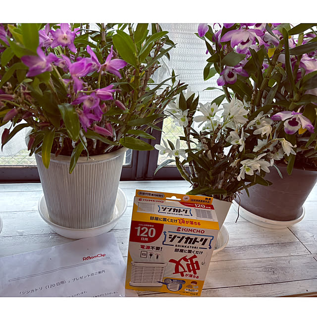 CoCo0617さんの部屋