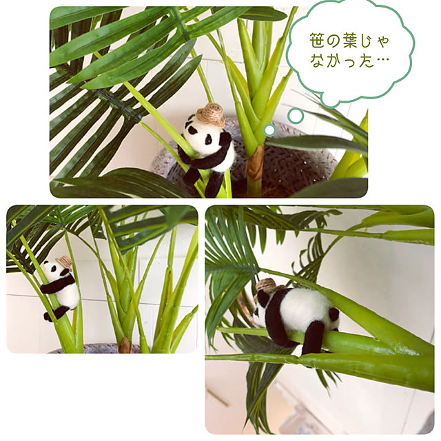 kusuttoさんの実例写真