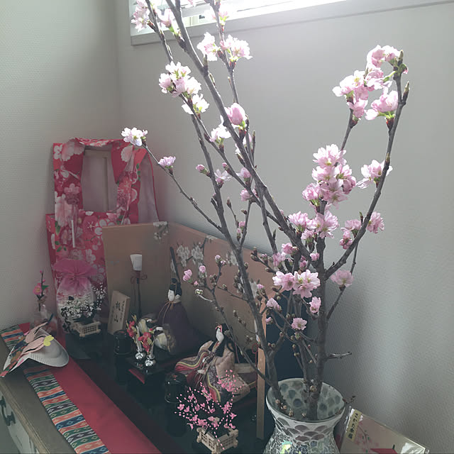 mai2yuaさんの実例写真