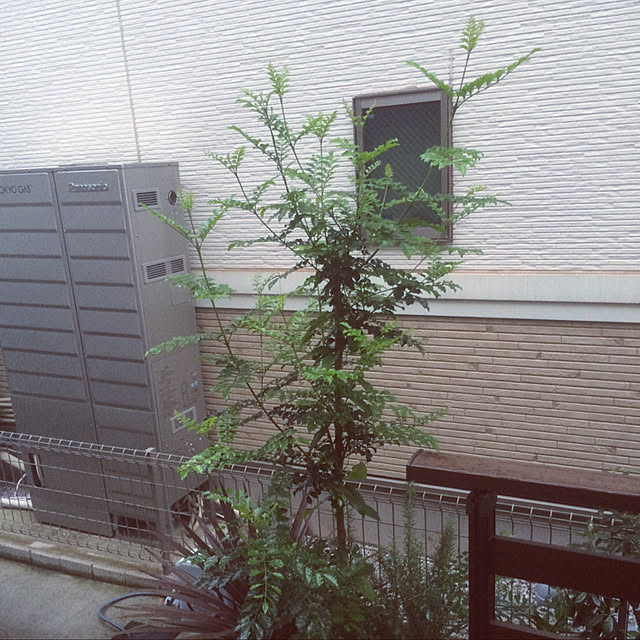 Kanaさんの実例写真
