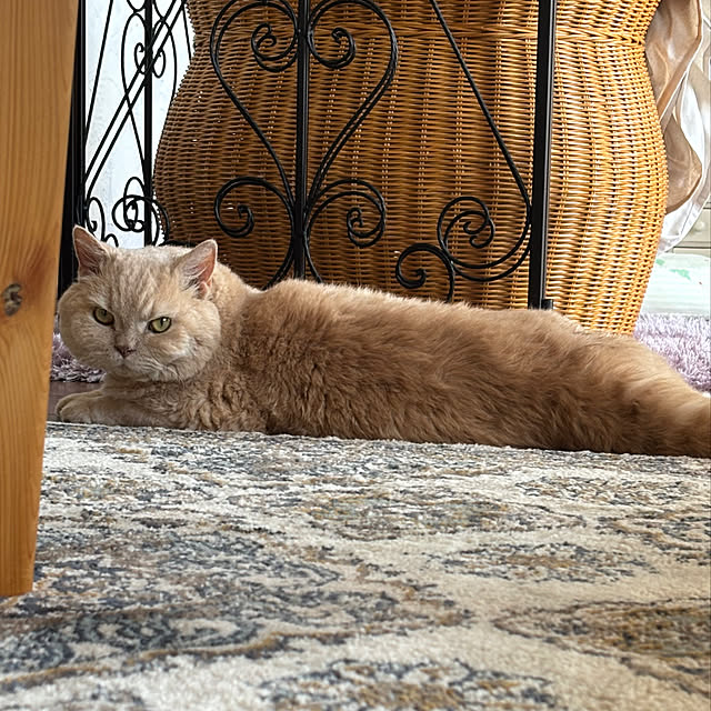 naokoさんの部屋