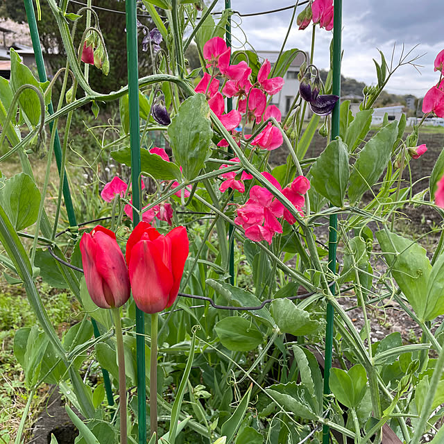 natsumiさんの部屋
