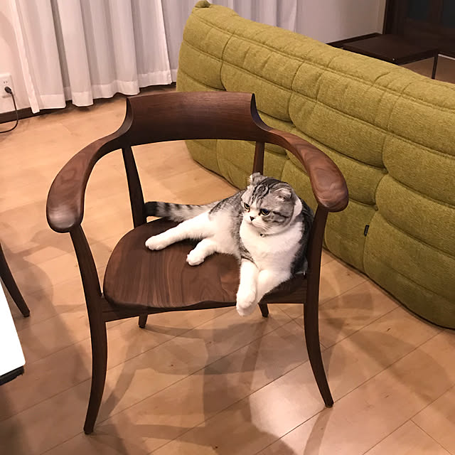 Dahliaさんの実例写真
