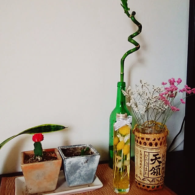 kotaroさんの実例写真