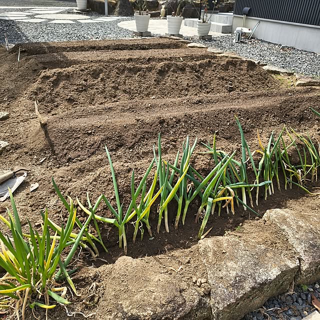 Rubiconさんの部屋