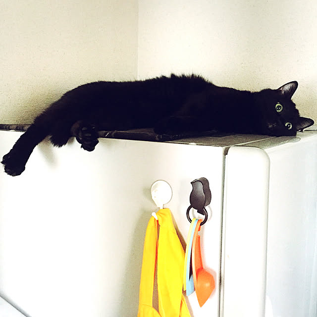 soraさんの実例写真