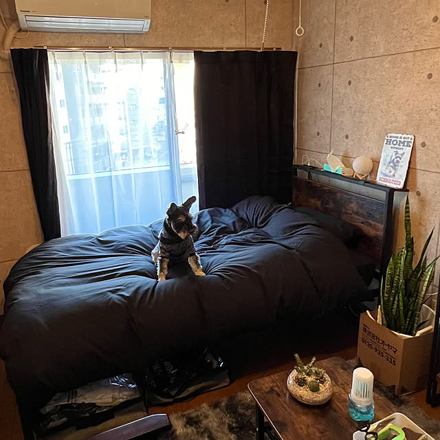 KNJさんの実例写真