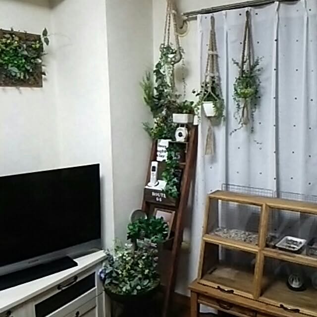 DS250さんの実例写真