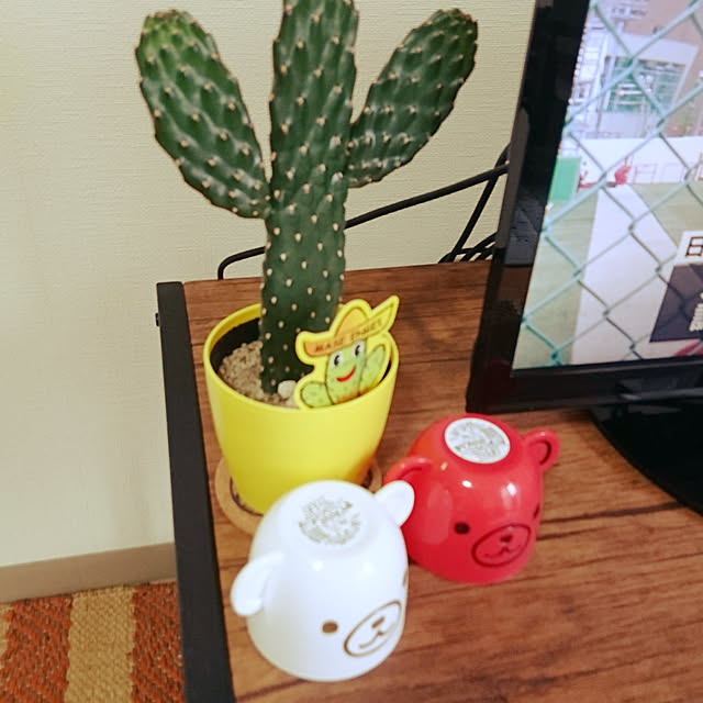 yukieさんの実例写真