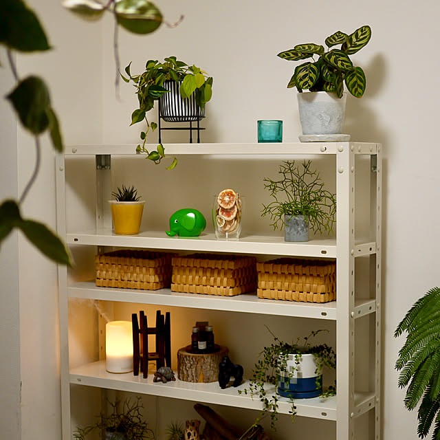 haraさんの実例写真