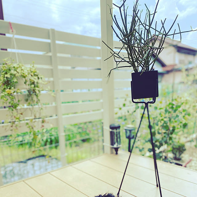 kennyjissさんの実例写真