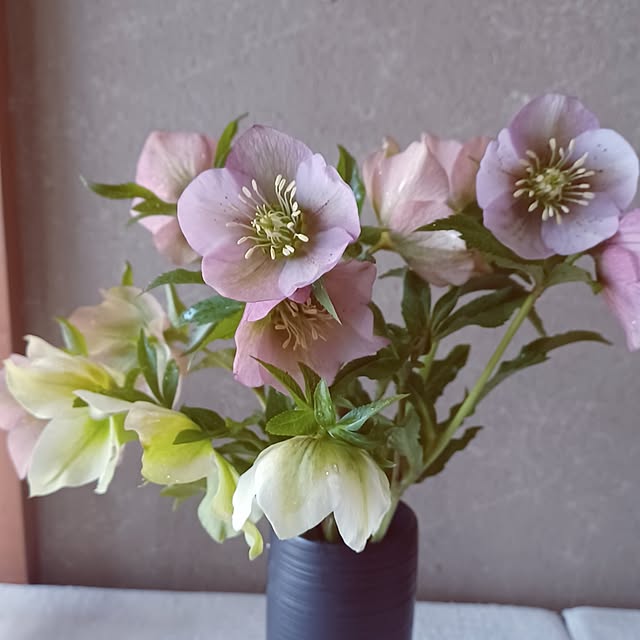 hiro.904さんの実例写真