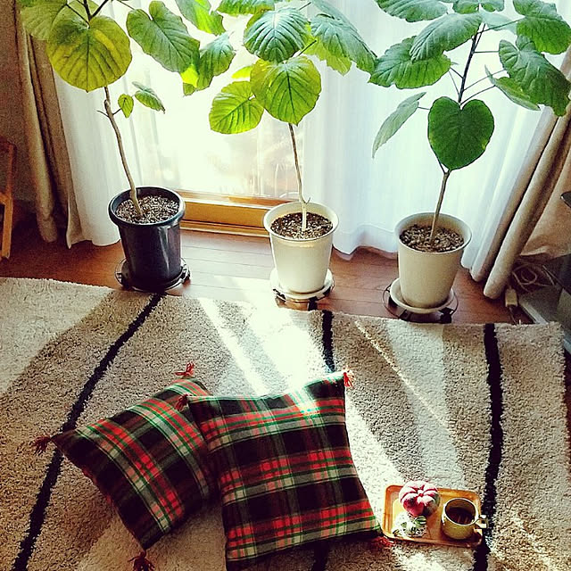 Renさんの実例写真