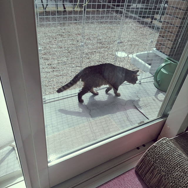lilyさんの実例写真