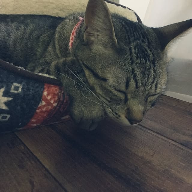 sayasさんの実例写真