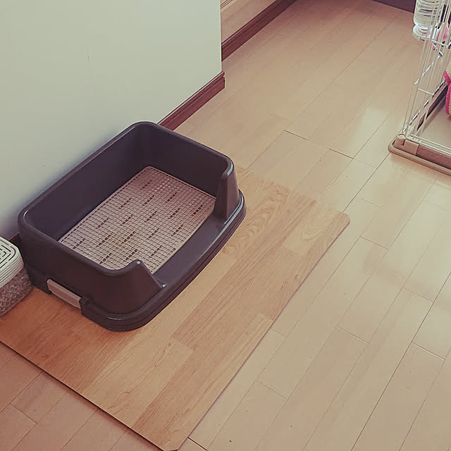 nonmamaさんの実例写真