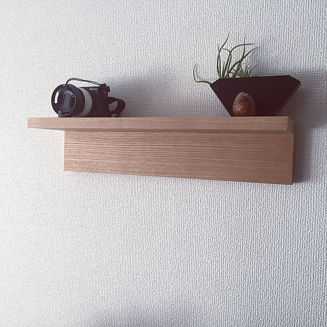 観葉植物/壁/天井のインテリア実例 - 2019-03-29 16:21:09