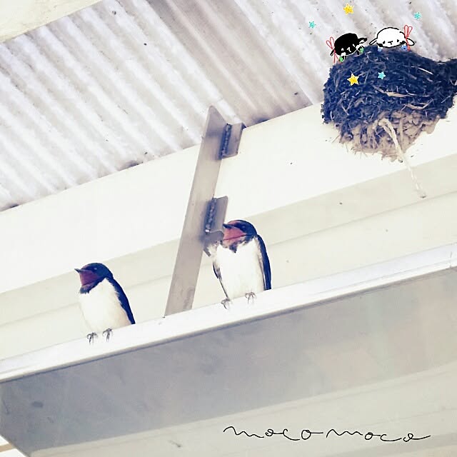 moco-mocoさんの実例写真