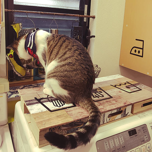 jijiさんの実例写真