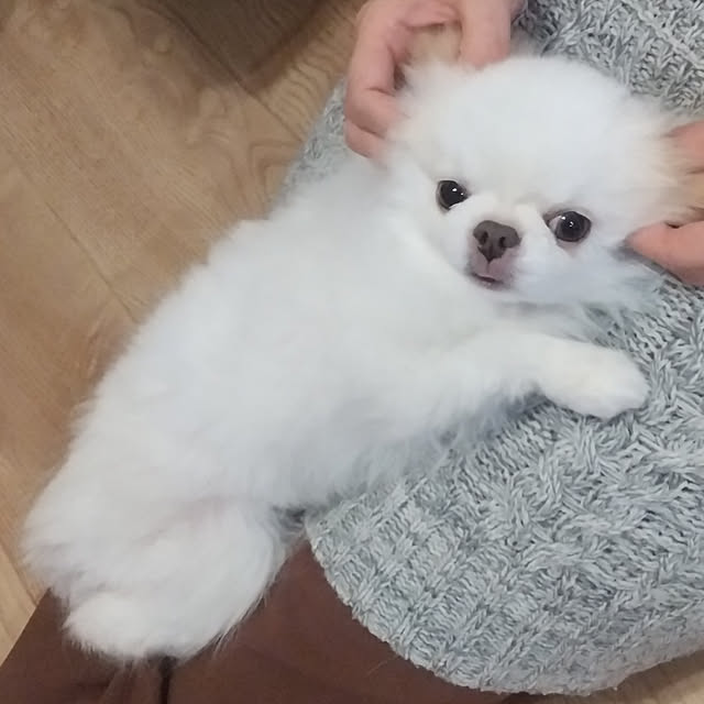 kuuさんの実例写真