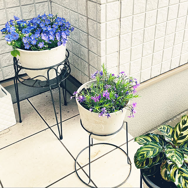 minminさんの部屋