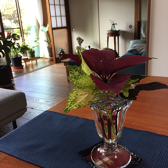 buchiさんの実例写真