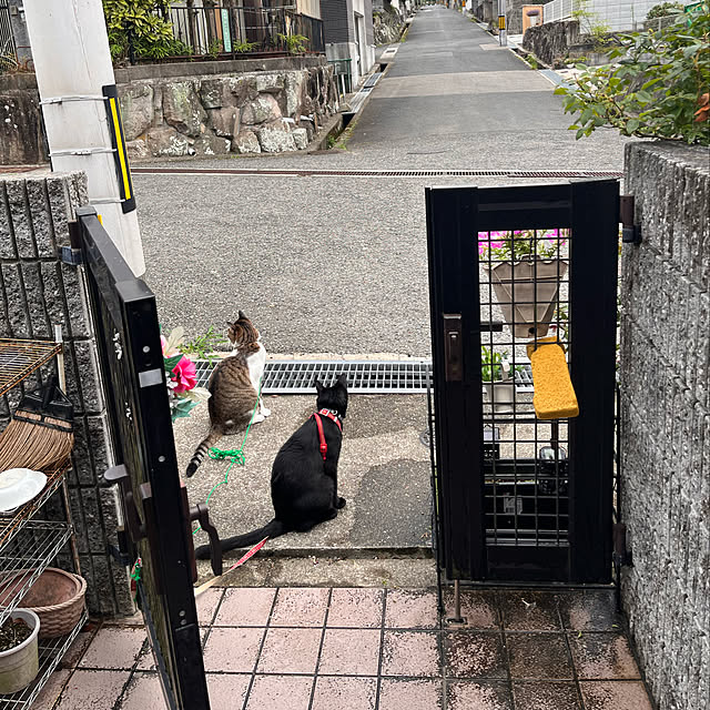 jijiさんの実例写真