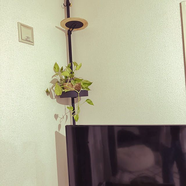 mayaさんの実例写真