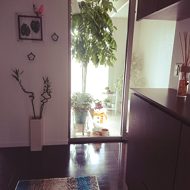 babiさんの実例写真