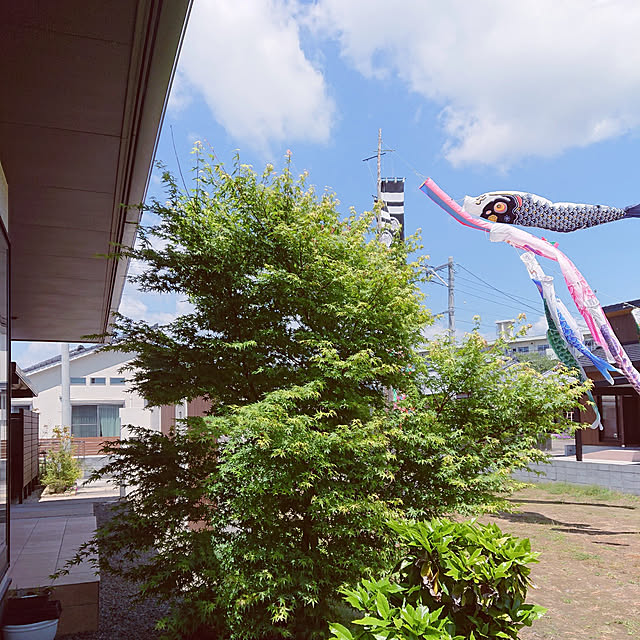 akeさんの実例写真