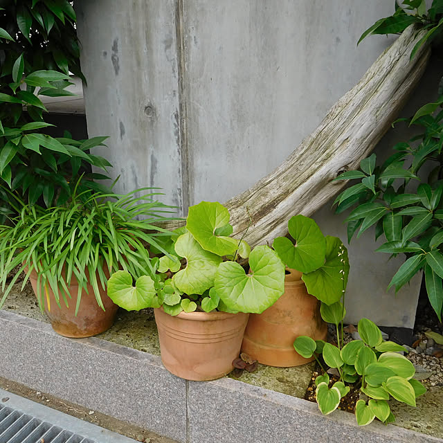 yasu10さんの実例写真