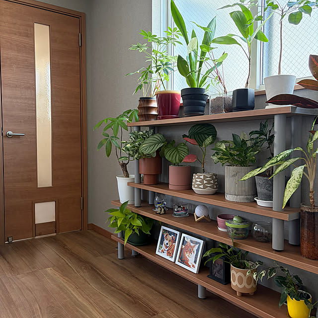 ikuzakさんの部屋