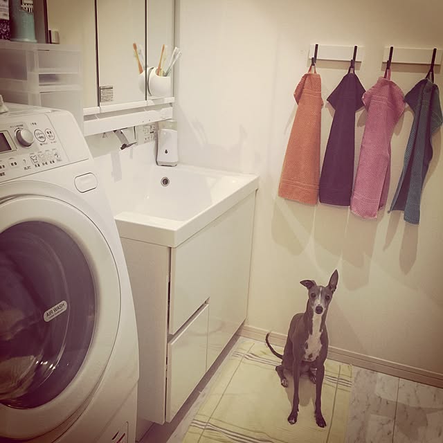 suzyさんの実例写真