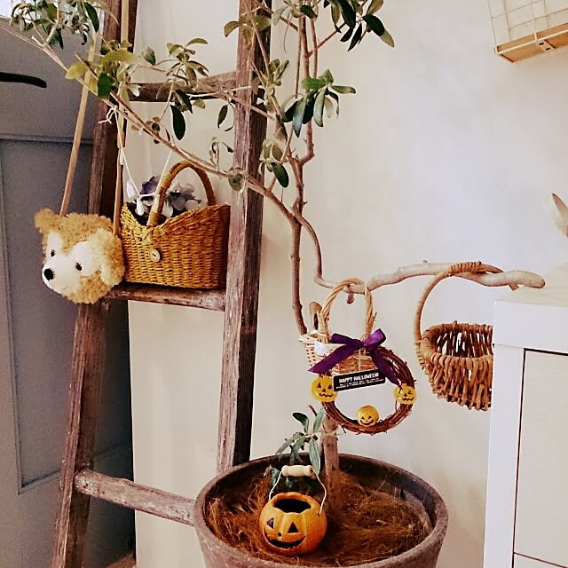 comiriさんの実例写真