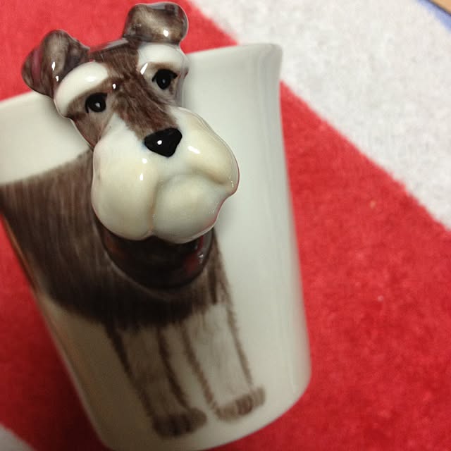 MilkPonyさんの実例写真