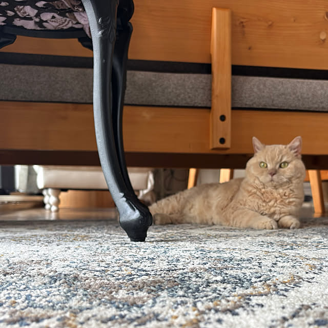 naokoさんの部屋