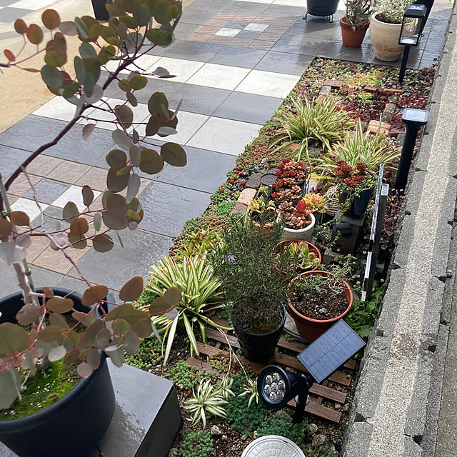 anko.hibuさんの部屋