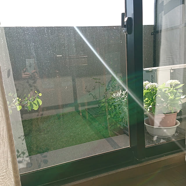 kakkaさんの実例写真
