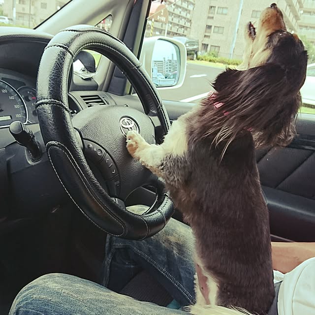 cocosorasakuさんの実例写真