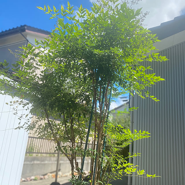 kojirotanさんの部屋