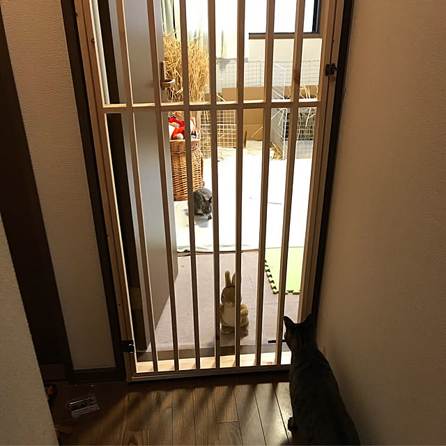 mori-6.12さんの実例写真